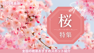 桜特集