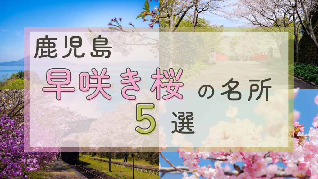 鹿児島早咲き桜