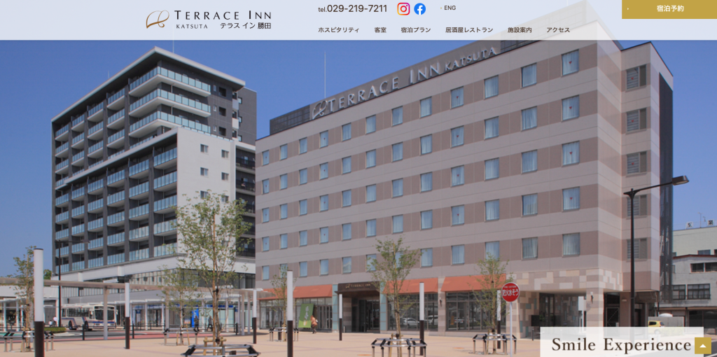 テラスイン勝田